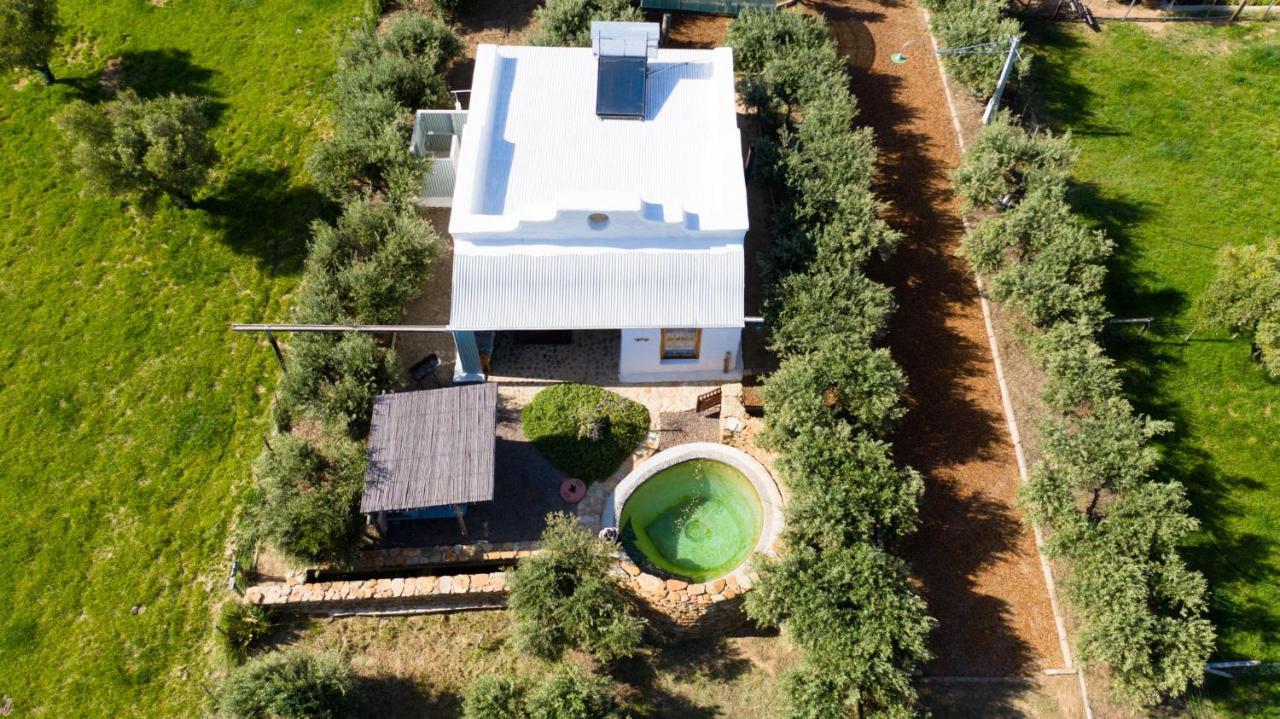 Olive Stone Farm Cottages Montagu Exteriör bild