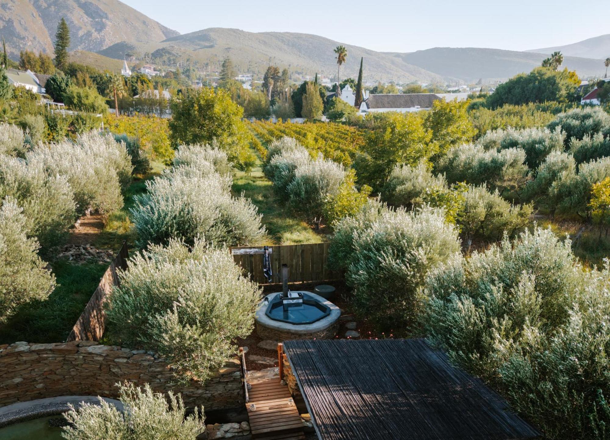 Olive Stone Farm Cottages Montagu Exteriör bild